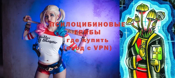 сатива Осташков