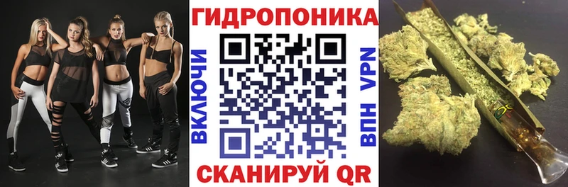 закладки  Татарск  Шишки марихуана семена 
